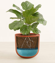 Lade das Bild in den Galerie-Viewer, Earth Red stand:all
