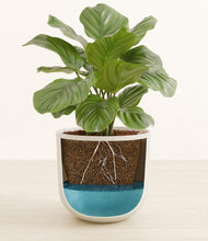 Lade das Bild in den Galerie-Viewer, Natural Bamboo stand:all
