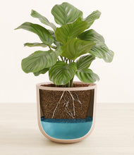 Lade das Bild in den Galerie-Viewer, Sandy Pink stand:all
