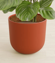 Lade das Bild in den Galerie-Viewer, Earth Red stand:all
