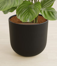 Lade das Bild in den Galerie-Viewer, Stone Black stand:all
