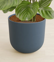 Lade das Bild in den Galerie-Viewer, Iron Gray stand:all
