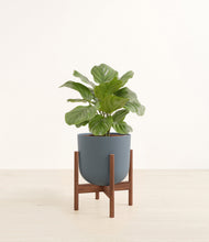 Lade das Bild in den Galerie-Viewer, Iron Gray stand:walnut
