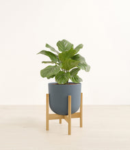 Lade das Bild in den Galerie-Viewer, Iron Gray stand:bamboo
