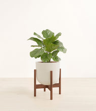 Lade das Bild in den Galerie-Viewer, Natural Bamboo stand:walnut
