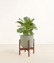 Lade das Bild in den Galerie-Viewer, Sage Green stand:walnut
