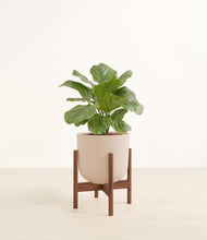 Lade das Bild in den Galerie-Viewer, Sandy Pink stand:walnut
