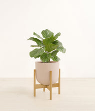 Lade das Bild in den Galerie-Viewer, Sandy Pink stand:bamboo
