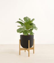 Lade das Bild in den Galerie-Viewer, Stone Black stand:bamboo
