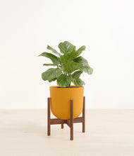 Lade das Bild in den Galerie-Viewer, Sunset Orange stand:walnit
