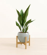 Load image into Gallery viewer, Deep Ocean stand:bamboo
