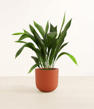 Load image into Gallery viewer, Earth Red*****Profile
