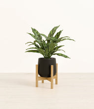 Load image into Gallery viewer, Black stand:bamboo
