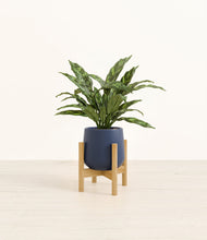 Load image into Gallery viewer, Deep Navy stand:bamboo
