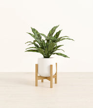 Load image into Gallery viewer, White stand:bamboo
