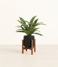 Load image into Gallery viewer, Black stand:walnut
