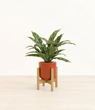 Load image into Gallery viewer, Glossy Red stand:bamboo
