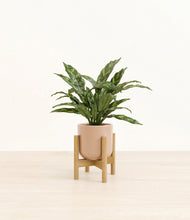 Load image into Gallery viewer, Glossy Pink stand:bamboo

