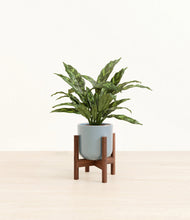Load image into Gallery viewer, Misty Blue stand:walnut
