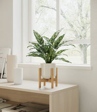 Load image into Gallery viewer, Cotton White stand:bamboo
