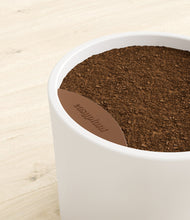 Load image into Gallery viewer, -
