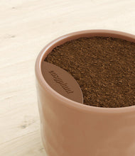 Charger l'image dans la galerie, Hammered Peach Pink stand:all
