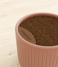 Charger l'image dans la galerie, Striped Rose Pink stand:all
