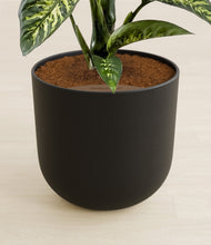 Load image into Gallery viewer, Stone Black stand:all
