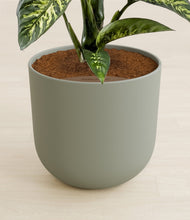 Load image into Gallery viewer, Sage Green stand:all
