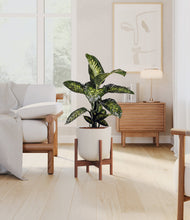 Charger l'image dans la galerie, Natural Bamboo stand:dark
