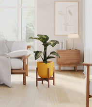 Load image into Gallery viewer, Sunset Orange stand:walnut
