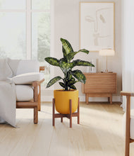 Charger l'image dans la galerie, Sunset Orange stand:dark
