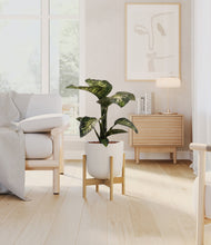 Load image into Gallery viewer, Natural Bamboo stand:bamboo

