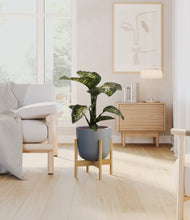 Load image into Gallery viewer, Iron Gray stand:bamboo
