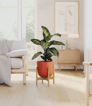 Charger l'image dans la galerie, Earth Red stand:light
