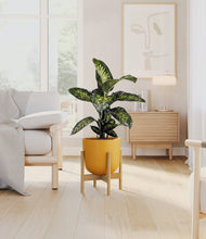 Charger l'image dans la galerie, Sunset Orange stand:light
