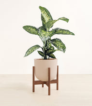 Charger l'image dans la galerie, Sandy Pink stand:dark
