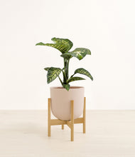 Load image into Gallery viewer, Sandy Pink stand:bamboo
