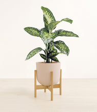 Charger l'image dans la galerie, Sandy Pink stand:light
