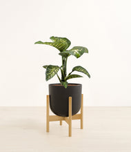 Load image into Gallery viewer, Stone Black stand:bamboo
