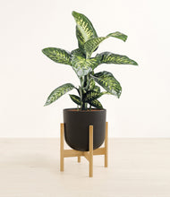 Charger l'image dans la galerie, Stone Black stand:light
