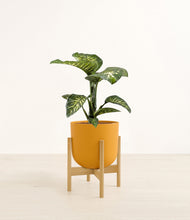 Load image into Gallery viewer, Sunset Orange stand:bamboo
