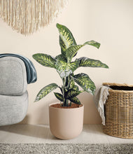 Charger l'image dans la galerie, Sandy Pink
