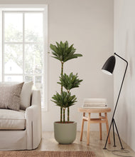 Load image into Gallery viewer, Sage Green
