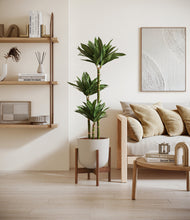 Load image into Gallery viewer, Natural Bamboo stand:walnut
