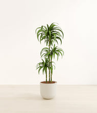 Load image into Gallery viewer, Natural Bamboo*****Profile
