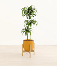 Load image into Gallery viewer, Sunset Orange stand:bamboo
