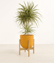 Load image into Gallery viewer, Sunset Orange stand:bamboo
