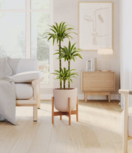 Load image into Gallery viewer, Sandy Pink stand:bamboo
