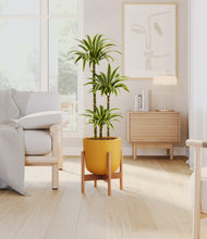 Load image into Gallery viewer, Sunset Orange stand:bamboo
